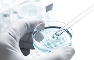 Over 300 product formulas were tested during the development process